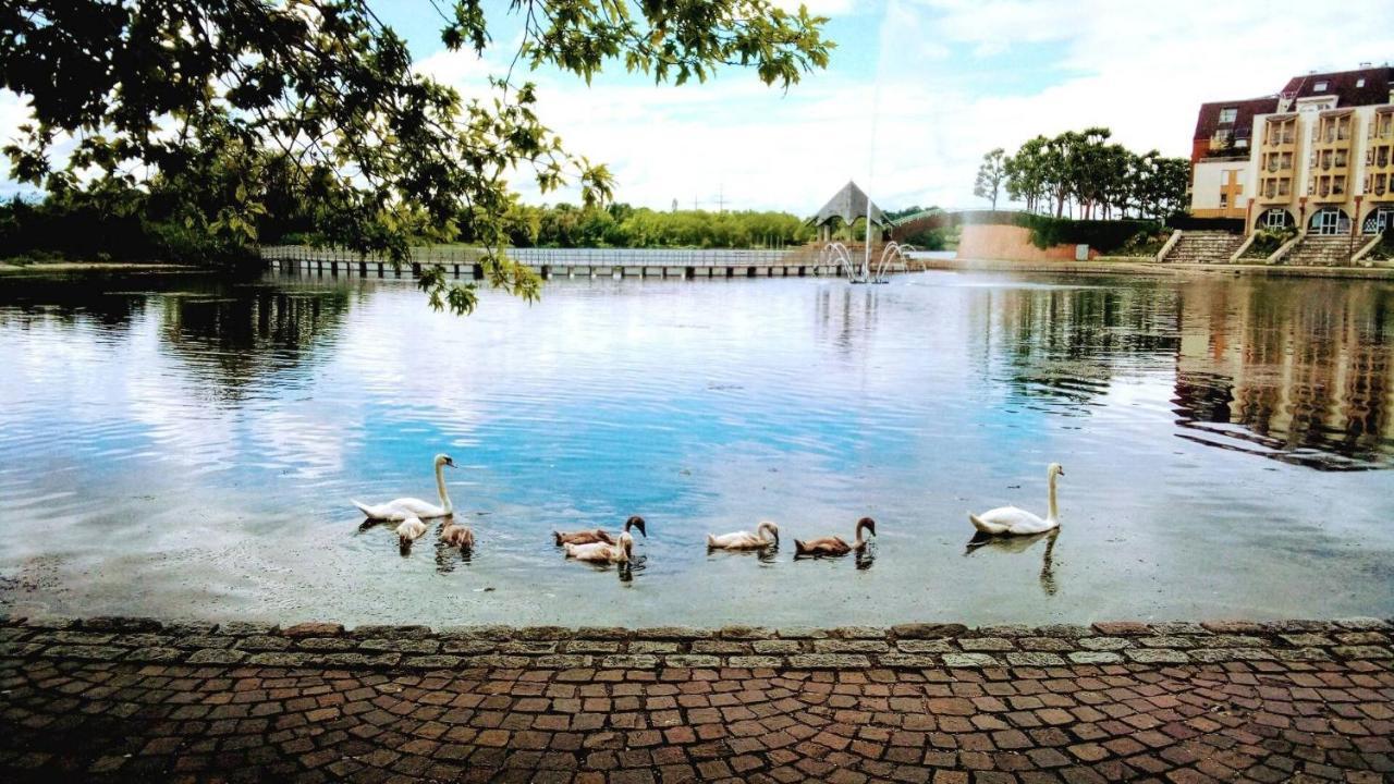 Vue Exceptionnelle Sur Le Lac クレテイユ エクステリア 写真